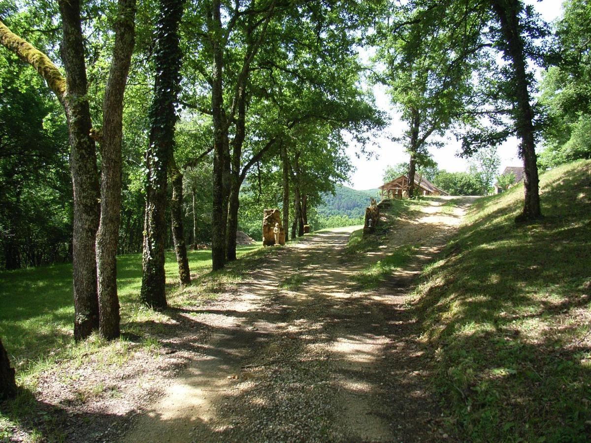 Studio Aux Eyzies Au Coeur De La Vallee De L'Homme Les Eyzies Екстериор снимка