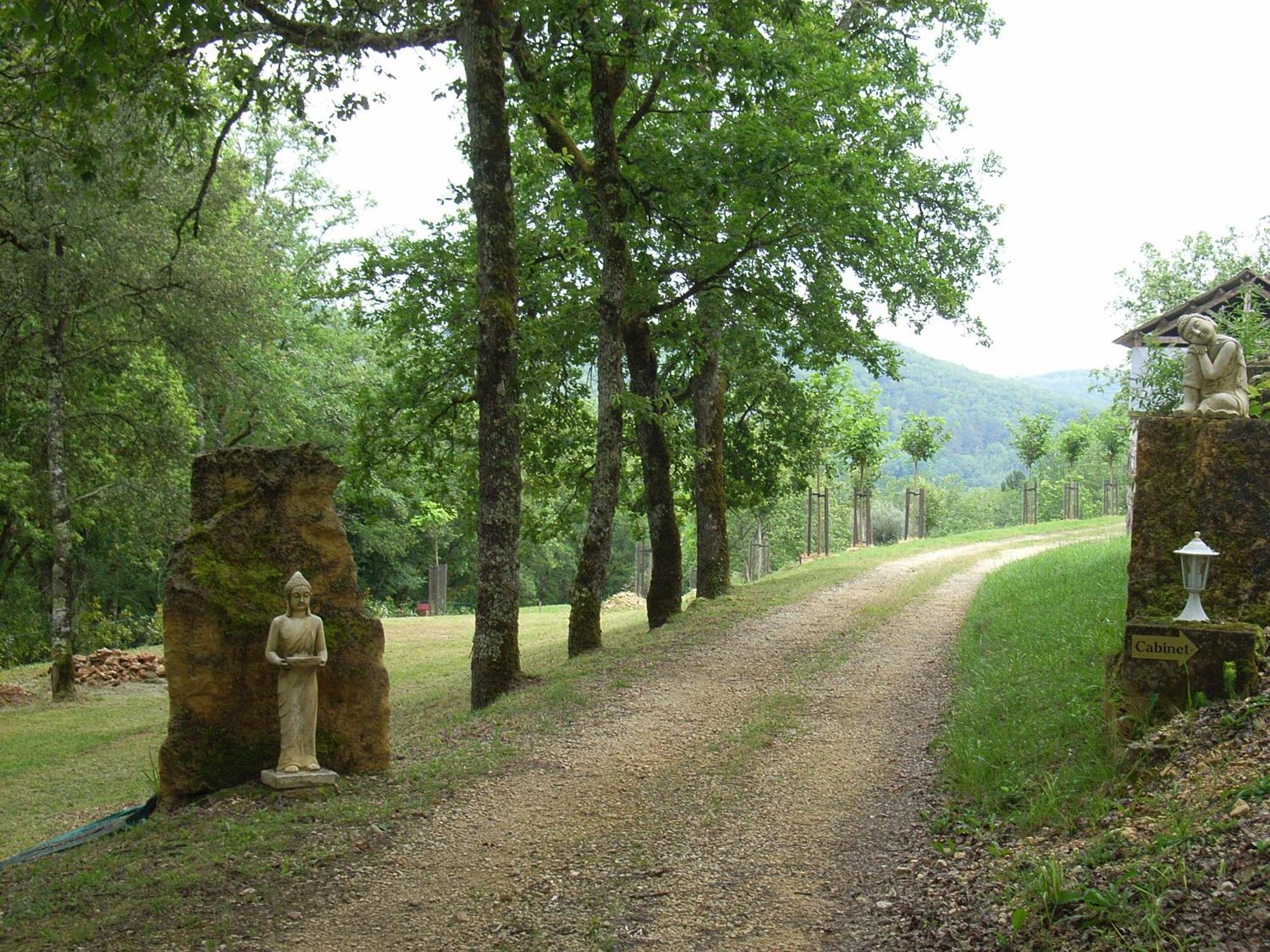 Studio Aux Eyzies Au Coeur De La Vallee De L'Homme Les Eyzies Екстериор снимка