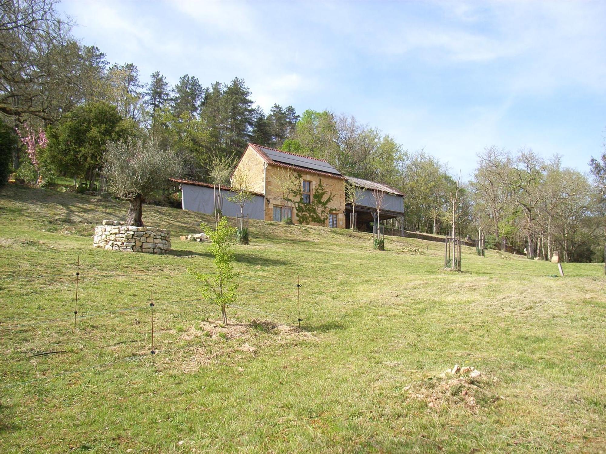 Studio Aux Eyzies Au Coeur De La Vallee De L'Homme Les Eyzies Екстериор снимка